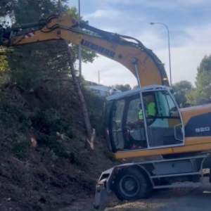 Liebherr 916 (sobre neumáticos)